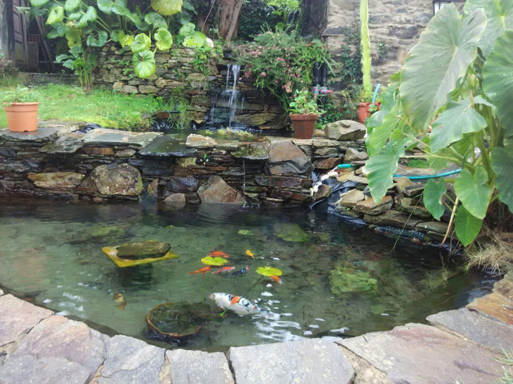 Casa Rural O Carreiro Cedeira Ngoại thất bức ảnh
